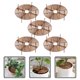 thumbnail image 4 of 5 rejillas para macetas, cubiertas para flores, protectores de suelo para plantas de interior y jardín., 4 of 6