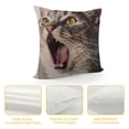 thumbnail image 4 of Qinduosi Pet Cat Pillow Covers Surprised Cat Pillow Cover Pillowcover Soft Double Side Print Sofa Linen Square Throw Pillowcovers " inch for Living Room Bedroom Car Decor, 4 of 5