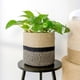 thumbnail image 2 of Diseño plegable, material natural, 21 x 21 cm, color negro y yute, cesta de yute para plantas de interior de 20 cm, cesta de diseño minimalista para organizar juguetes, 2 of 5