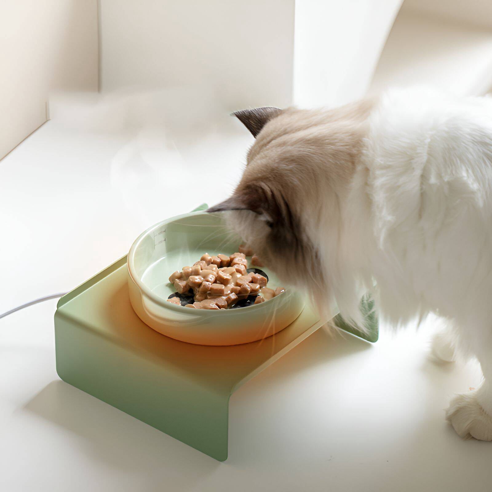 BPPEG Ceramic Cat BowlDouble Design Slow Feeder Dog BowlsSuitable for and BowlsPurple