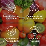 Nature's Sunshine Super Supplemental: Complete Multivitamin with Minerals, Antioxidants & More for Nutritional Gaps, Overall Health, Immune & Energy Support. 120 Tabs