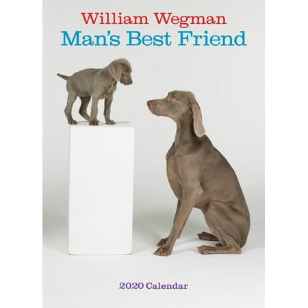 William Wegman Man's Best Friend 2020 Wall (Best Calendar App To Share With Spouse)