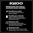 thumbnail image 5 of (2 pack) Igloo 48 QT Laguna Hard Sided Ice Chest Cooler, Red, 5 of 18