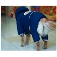 thumbnail image 3 of Fleece Big Dog jacket Winter Thick Windproof dog clothes Hooded Pet Dog coat Jacket for Medium/Large Dogs in 2023 Clothing ShopWise Round, 3 of 8