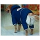 thumbnail image 3 of Fleece Big Dog jacket Winter Thick Windproof dog clothes Hooded Pet Dog coat Jacket for Medium/Large Dogs in 2023 Clothing ShopWise Round, 3 of 7