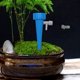 thumbnail image 4 of 5x de autorriego Zulema Dispositivos de riego por goteo planta automática ajustable Azul, 4 of 8