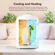 Auseo Mini Fridge, Portable Fridge Personal, 4 Liter/6 Cans Countertop, 120V AC/ 12V DC, Cooler and Warmer for Drink Office Dorm Bedroom Car, White