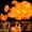 Orange, variant on 1 Pack Halloween Lighted Marigold Garland 10 LED Artificial Marigold Flowers String Lights Dia de Los Muertos Day of The Dead Decorations for Halloween Party(3, 5 Ft 10 LED)