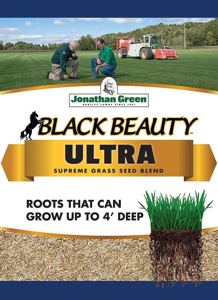 Jonathan Green Black Beauty Ultra Grass Seed, 1Pound