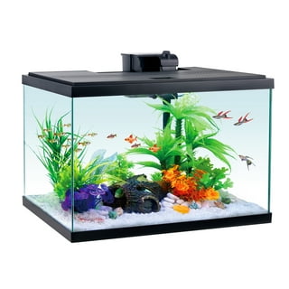 20 Gallon Fish Tank in Fish Tanks 