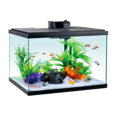 Aqua Culture Glass 20 Gallon Aquarium Starter Kit, Black, 24.17''L x 12.68''W x 17.68''H