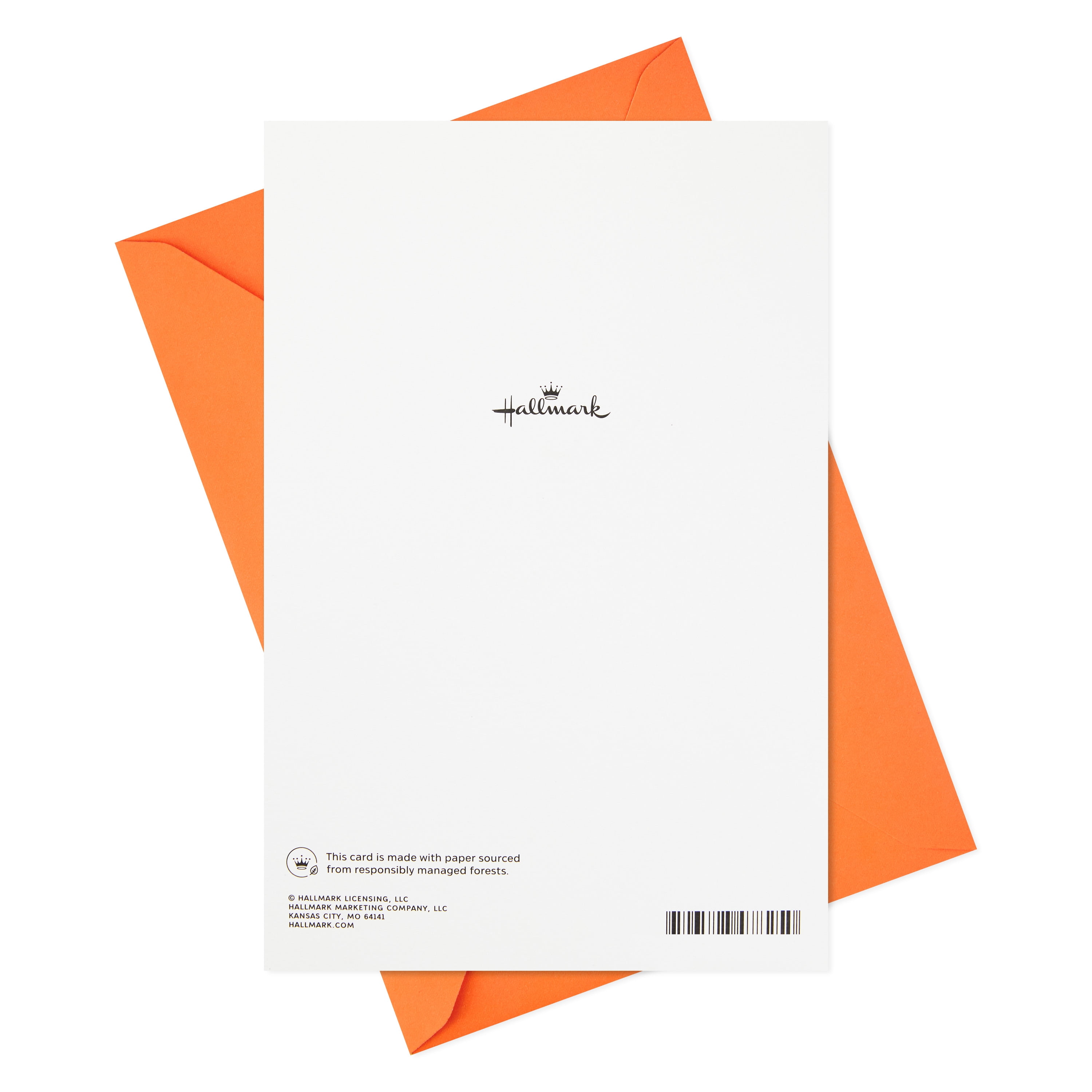 Hallmark Funny Birthday Greeting Card (Pirate Booty)