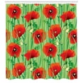 thumbnail image 3 of Ambesonne Spring Shower Curtain, Poppy Flowers Field, 69"Wx70"L, Fern Green Scarlet, 3 of 3