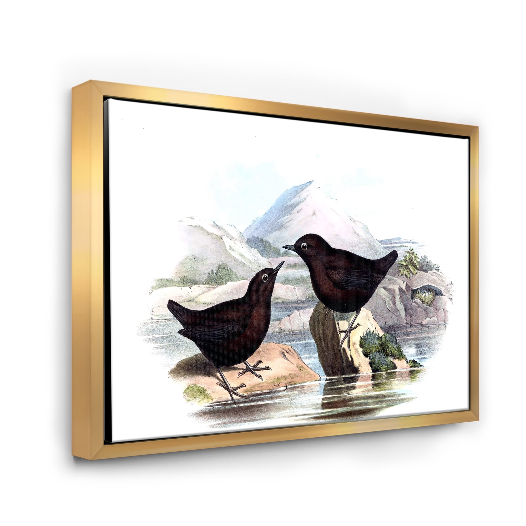 Designart 'Vintage Countryside Two Birds' Farmhouse Framed Canvas Wall Art Print