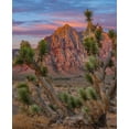 thumbnail image 2 of Fitzharris, Tim 15x17 Gold Ornate Wood Framed with Double Matting Museum Art Print Titled - Red Rock Canyon National Conservation Area-Nevada-USA, 2 of 4