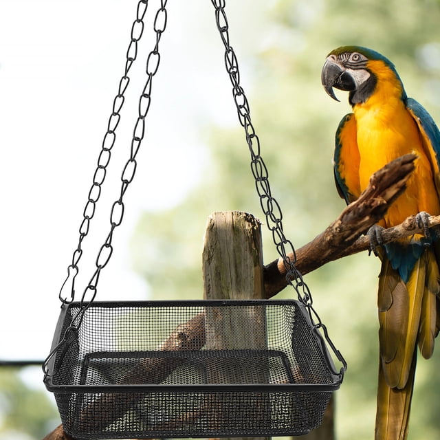 YOSADIER Weather Resistant Iron Hanging Bird Feeder with Single Layer Mesh Tray for Outdoors