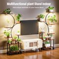 thumbnail image 5 of Plant Stand Indoor with Grow Lights,62" Tall indoor plant stands for multiple plants,8-Tiered plant shelf indoor,Metal Flower Stands for Indoor Plants Living Room,,Garden, Patio, Balcony, 5 of 7