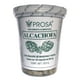 thumbnail image 1 of Alcachofa 150 cáps Vinagre de Manzana y Nopal Prosa. Prosa PROSAALCACHOFA, 1 of 3