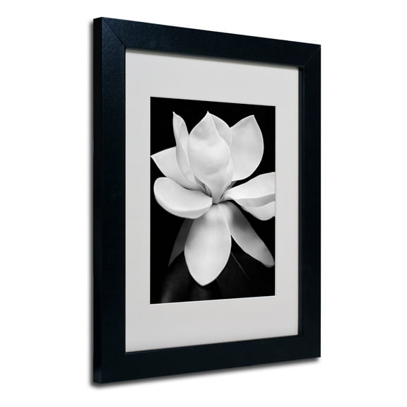 Matted art under acrylic in a black frame