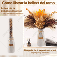thumbnail image 3 of 64pzs Pampas Secas Plantas Decorativas Flores Artificiales Respetuoso Xtellar cafe, 3 of 3