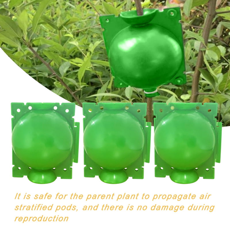 Plant Root Growing Box 3 Pack Combination Reasable Plant Root Growing Ball（Large） Root Booster for Fast Plant Reproduction Pod 