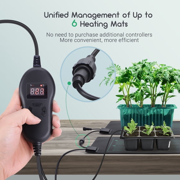 LUXBIRD 2 - Pack Seedling Heat Mats with Digital Thermostat Controller: Cultivate with Ease