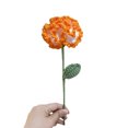 thumbnail image 2 of Clavel de flores artificiales de ganchillo, regalos de cumpleaños, para San Valentín, bodas, aniversarios, cumpleaños, regalos únicos para citas, 2 of 6