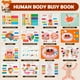 thumbnail image 2 of Freebear Montessori Busy Book for Kids, Human Body Anatomy Book for Toddlers, Preshool Kindergarten Learning Activities, Autism Sensory Toys, Travel Toys, Gifts for Girls and Boys 4 5 6 7 8 Years, 2 of 5