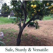 Dalen Plastic Fences-Transparent Netting for Garden Borders-3′x50′-Gray