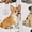 Assorted Cartoon Dogs with Paw Prints, variant on Psesaysky Cute Dog Hearts Print Round Neck Women Short Sleeve Maxi Dress, Two Side Pockets Elastic Polyester and Spandex Casual Maxi Dress for Office Casual