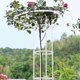 thumbnail image 5 of 2023 New Tall Garden Trellis for Climbing Plants - Unique Design, Sturdy Metal Construction 26s, 5 of 5