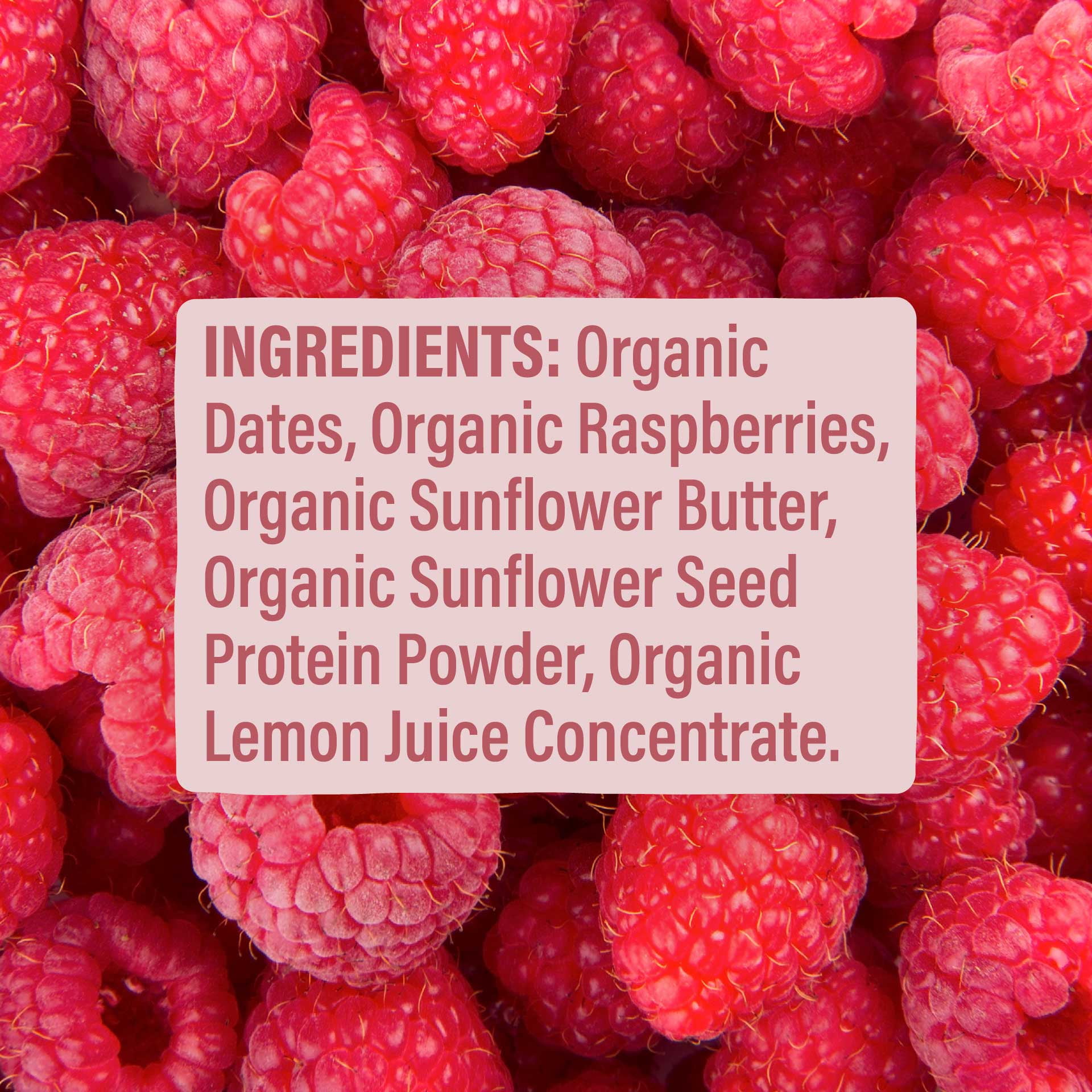 Skout Organic Raspberry Rush Kids Snack Bars (18 Pack) | Organic Kids Snack Bars | Plant-Based Nutrition | No Refined Sugar | Vegan | Gluten, Dairy, Peanut, Tree Nut & Seed Oil Free