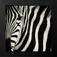 thumbnail image 2 of Parker, Susann 12x12 Black Modern Framed Museum Art Print Titled - Camouflage I, 2 of 5