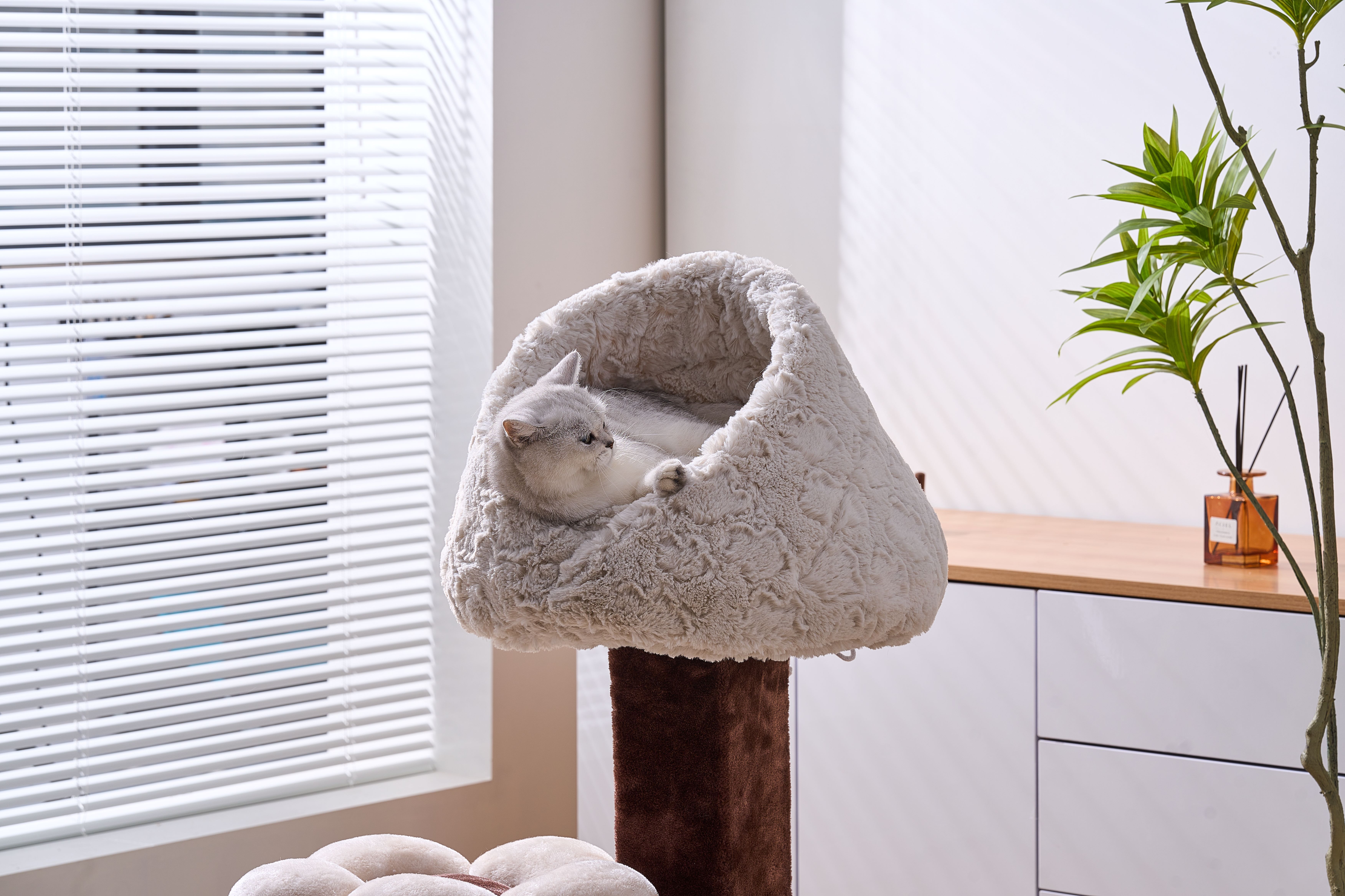PetPals Anxiety Calming & Washable Kitten Cat Bed-Rose Cradle