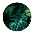 thumbnail image 4 of PIKWEEK Waterproof Round Tablecloth Palm Leaves with Lush Branches and Leaves Tropical Jungle Palm Leaves with Charming Colors White, 4 of 8