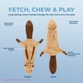 thumbnail image 2 of Best Pet Supplies 2-in-1 Stuffless Squeaky Dog Toy, Soft Dog Chew Toys, Squirrel, Medium, 2 of 6