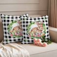 thumbnail image 2 of Easter Rabbit Pillow Covers 2 Pack Spring Green Leaf Plant Colorful Easter Eggs Black Buffalo Plaid Pillowcase Waterproof Outdoor Throw Pillow Cover for Patio Garden Square Cushion 18”x18”, 2 of 9