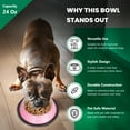 thumbnail image 3 of Iconic Pet Color Splash Stripe Non-Skid Pet Bowl, 24 Oz, Pink, 3 of 8