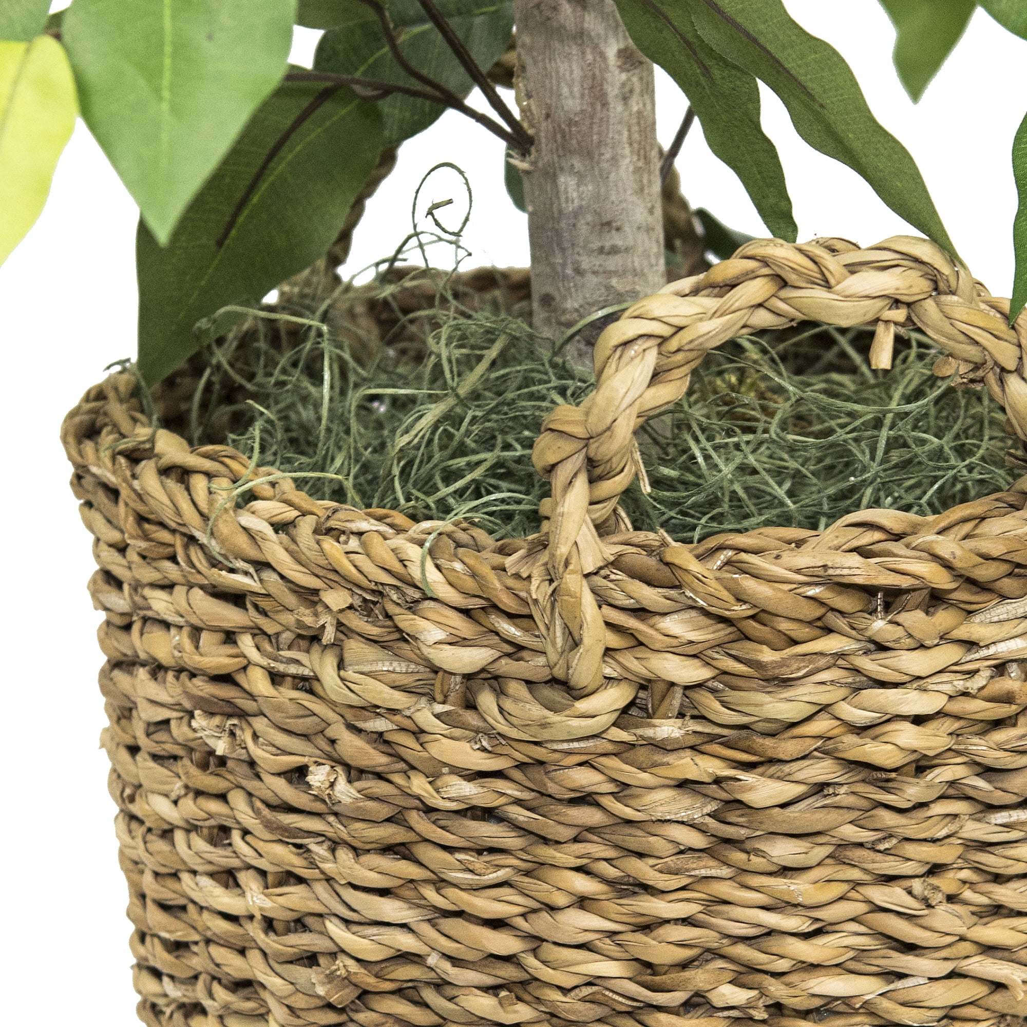 LCG Florals Artificial Tree, Fig Tree, 5 ft, Rustic Banded Metal Planter