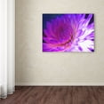thumbnail image 3 of Trademark Fine Art 'Mod Dahlia' Canvas Art by Kathy Yates, 3 of 3