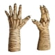 thumbnail image 1 of Manos De Bruja Evil Witch Halloween Disfraz Terror 25383, 1 of 4