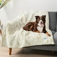 thumbnail image 2 of PetAmi WATERPROOF Dog Blanket For Large Dog, Calming Pet Blanket Bed Couch Cover Protector, Washable Sherpa Faux Fur Throw for Sofa Furniture Protection, Soft Fluffy 60x80 Cream Beige, 2 of 9