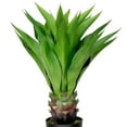 thumbnail image 3 of Northlight Real Touch™️ Green Artificial Agave Succulent Plant In a Black Pot - 30.5", 3 of 9
