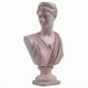 thumbnail image 1 of Estatua de escultura de Venus rosa con elegante busto femenino de resina, 31 cm, 1 of 2