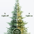 thumbnail image 5 of LuxenHome 7Ft Pre-Lit Artificial Pine Christmas Tree with Dusty Green PE Tips & Metal Stand, 5 of 9