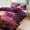 chudan-2, variant on Hawaii Bedding Set with Zipper Closure for Girls & Boys
