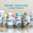 thumbnail image 6 of Solaray Kelp 550 mg with Folic Acid for Healthy Thyroid Function, Energy & Metabolism Support | Non-GMO | 100 VegCaps, 6 of 6
