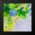 thumbnail image 2 of Popcorn 12x12 Black Modern Framed Museum Art Print Titled - Color Blast IX, 2 of 5