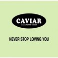 thumbnail image 1 of Never Stop Loving You (Chris Diodati Remixes), 1 of 2