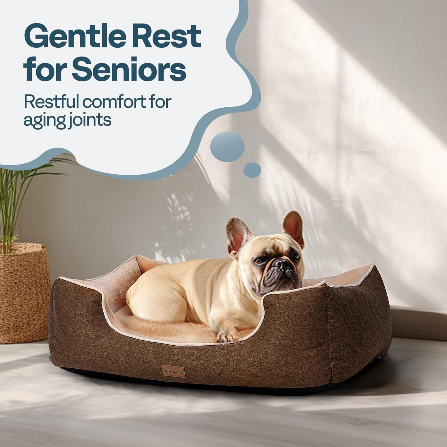 SPECSTAR Orthopedic Dog Bed for Small Dogs 28", Dual-Sided Cooling & Warming for All Seasons, Dual-Layer Interior Padding for Support and Softness, Waterproof & Heavy-Duty Non-Slip Bottom, Brown